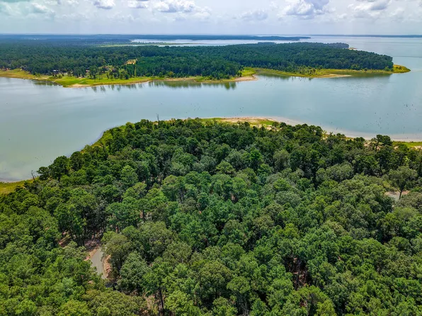 Pid 28447 Tall Pines Dr, Broaddus, TX 75929