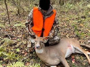 3032 Osyka Progress Rd, Osyka, MS 39657