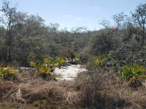 206 Lakeland Drive, Lake Placid, FL 33852