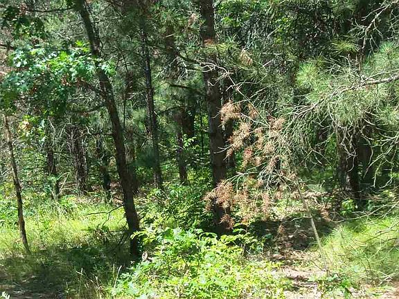 5th image of LOT 68 Grandview Trl