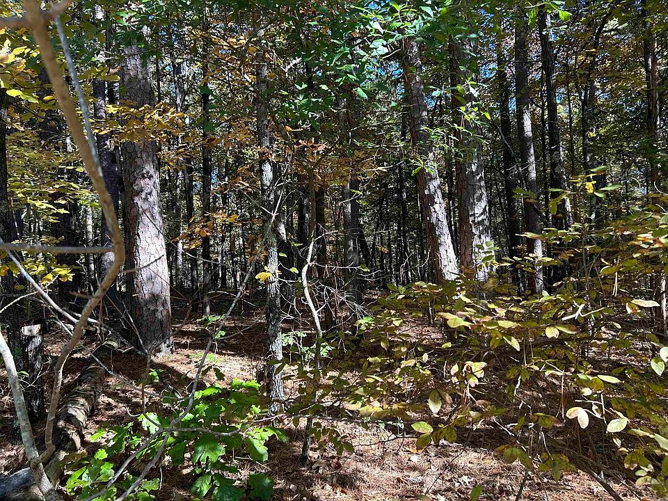 2nd image of (Undisclosed Address)