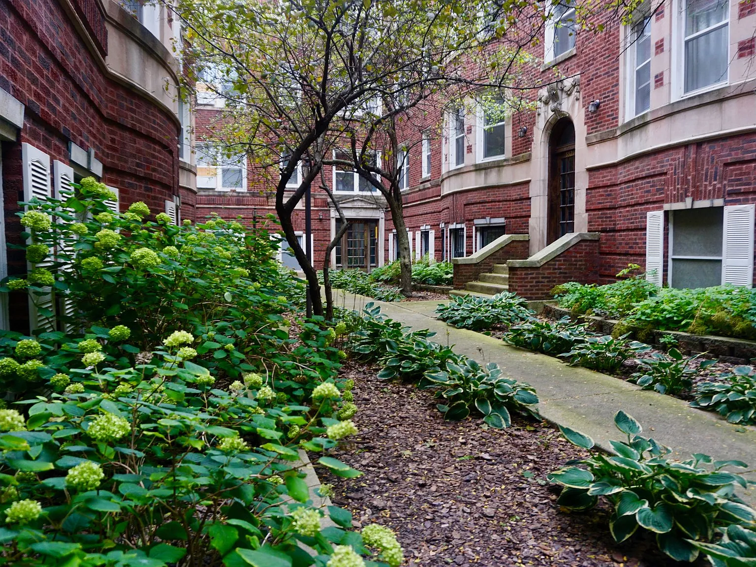 Kenmore Courts — Photo 3