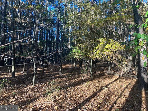 2nd image of 81 Davis Rd