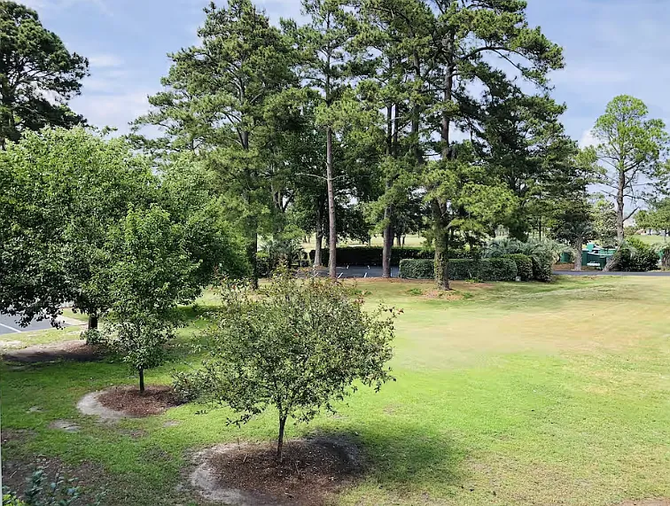 2 bed, 1150 sqft, $1,800 — Photo 4