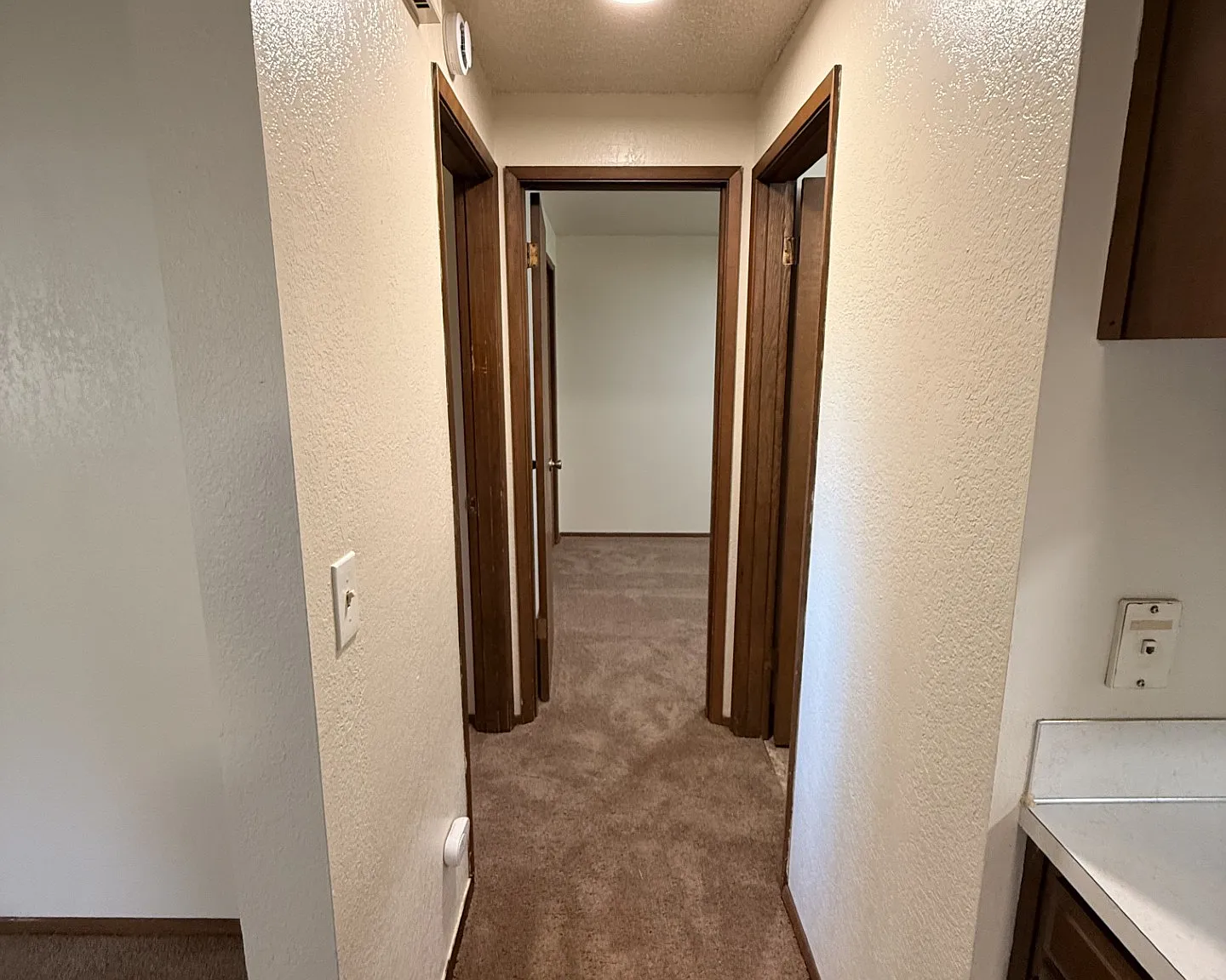 P129B 905 Webb - 90508 — Photo 3