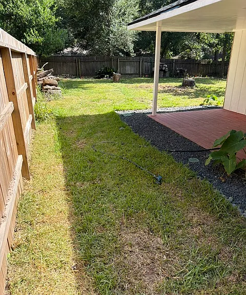 Backyard