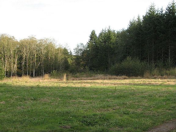 Back field