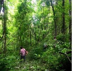 748 Elk Mountain Scenic Hwy, Asheville, NC 28804