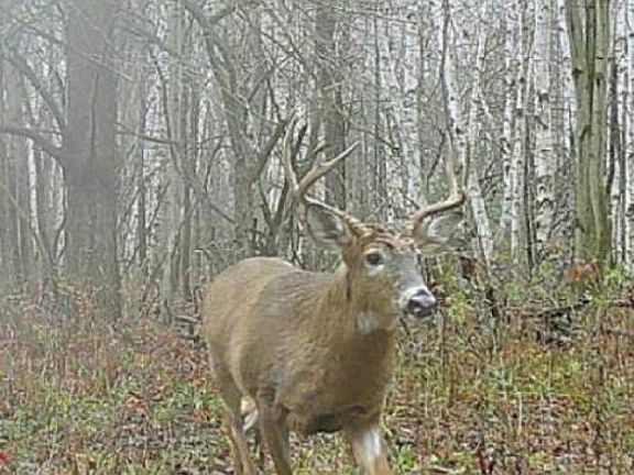 5th image of 5580 Kelly Rd