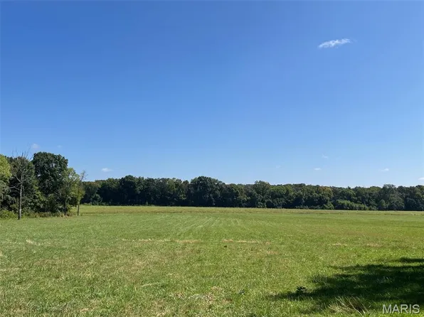 65/ACRE S Highway Cc, Leslie, MO 63056