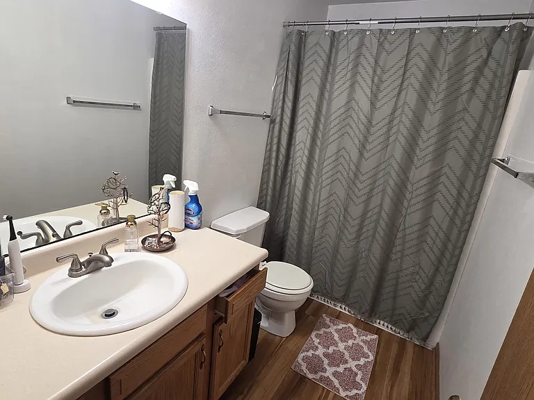 3113 Bluster Dr — Photo 11
