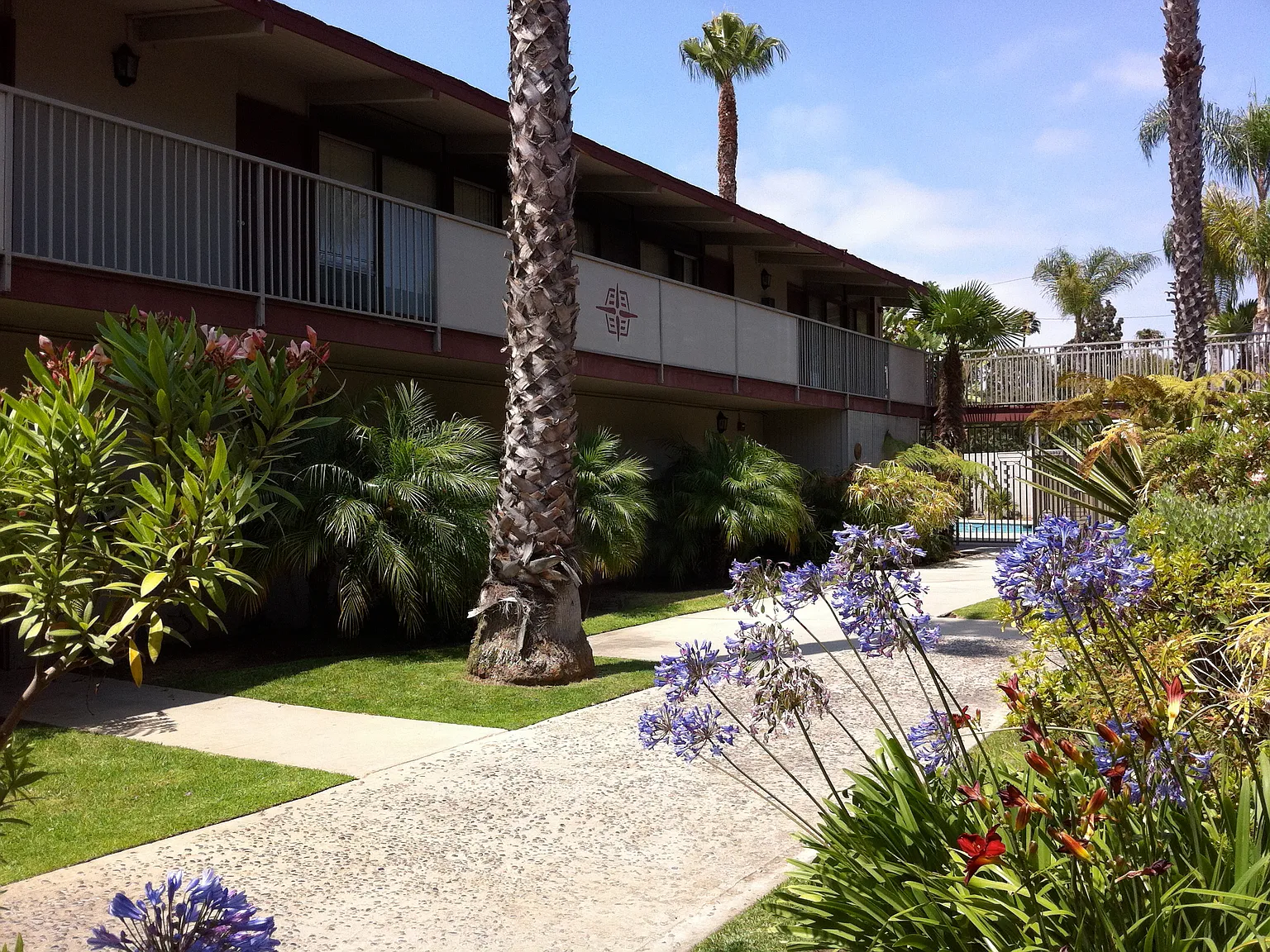 Continental Apartments — Photo 1