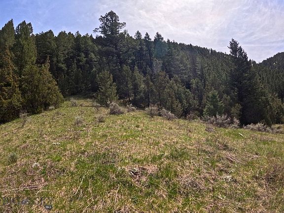 5th image of Nhn Pole Gulch Rd
