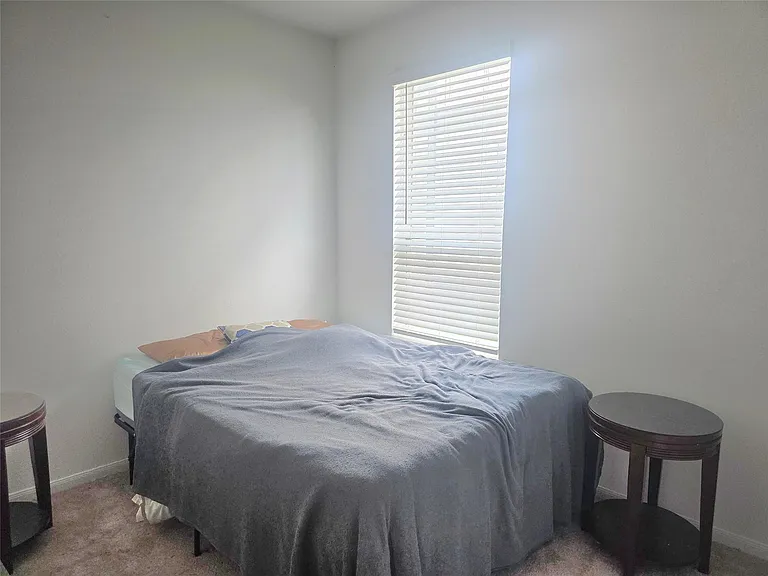 17806 Juneberry Seed St — Photo 10
