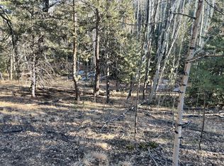 261 Tillicum Trl, Woodland Park, CO 80863