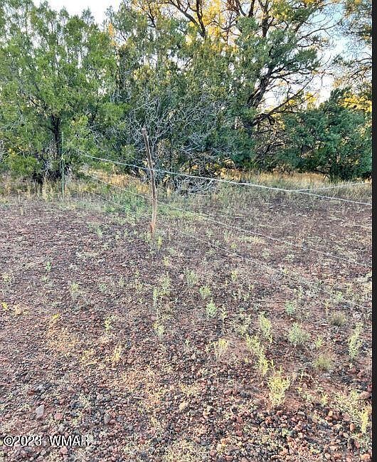 2nd image of 13A County Road 3319