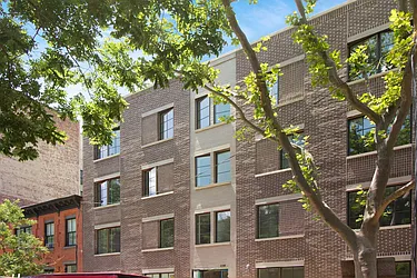 238 Hall Street in Clinton Hill