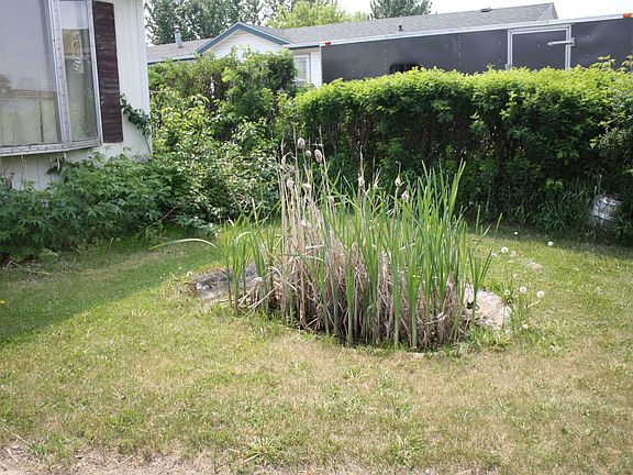 5th image of 5439 Eastview Cres