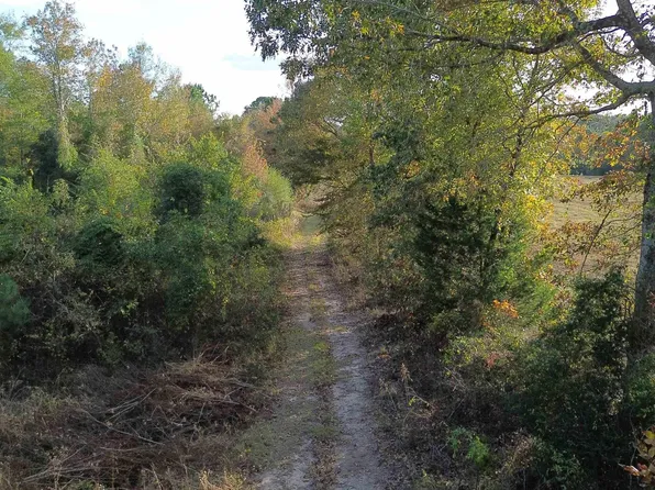 23528 Fm 838 W, Overton, TX 75684