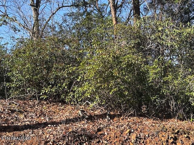 1st image of 1915 Buckeye View Way