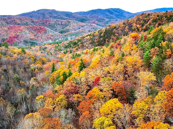 Blackberry Way Tract B Lot 19, Caldwell, WV 24925