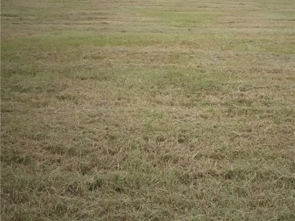 1207 W Houston Ave, Seadrift, TX 77983