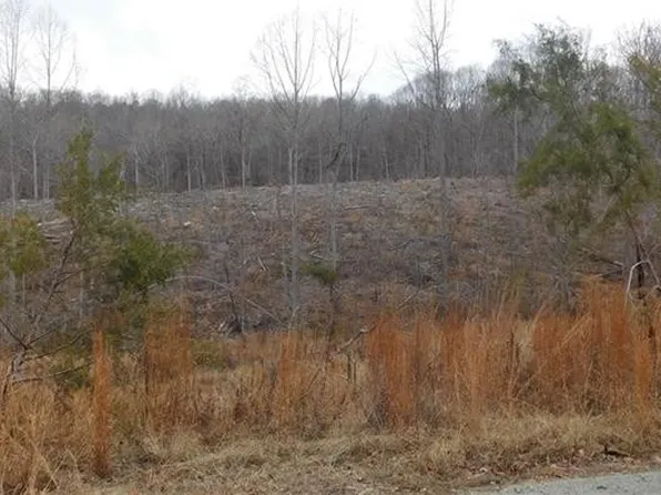 0 Cane Creek Rd Lot 7 & 8, Snow Camp, NC 27349