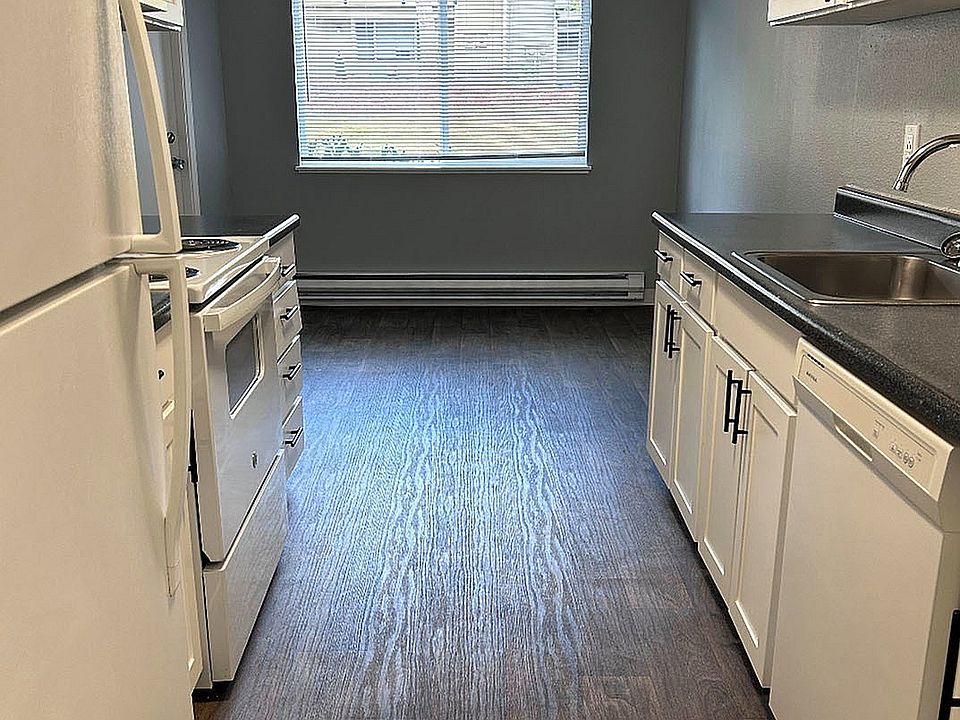 Renovated Kitchen