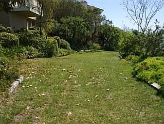 Big Backyard
