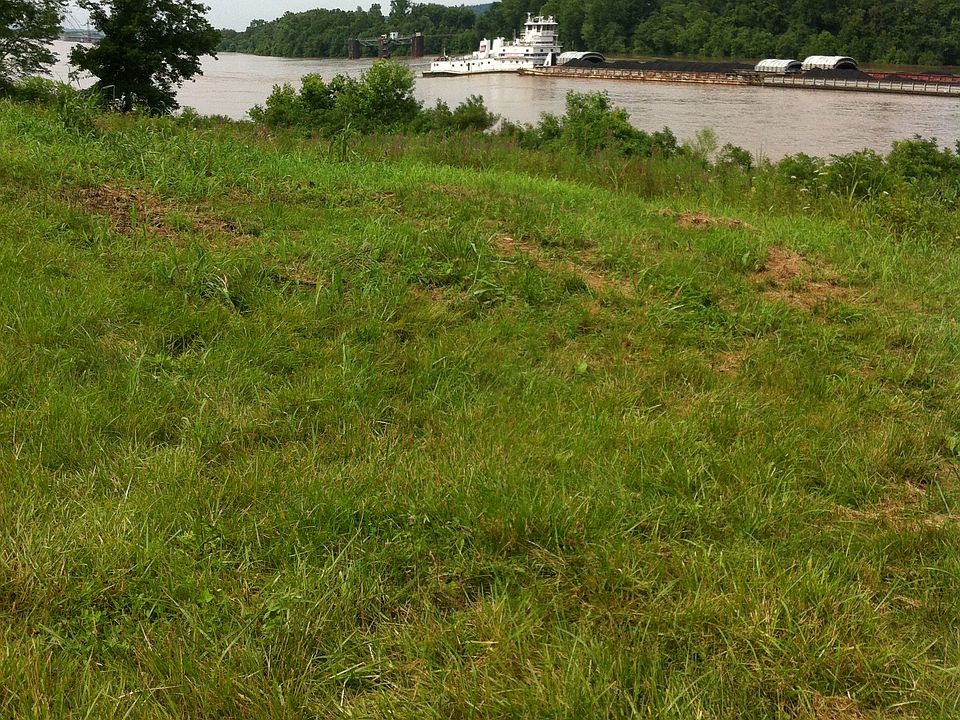 15771 State Route 7 S, Crown City, OH 45623 Zillow