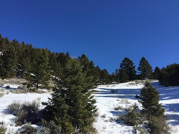4th image of 141 Rocky Mountain Mdws