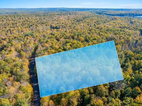 18067 Horn Lake Rd, Townsend, WI 54175