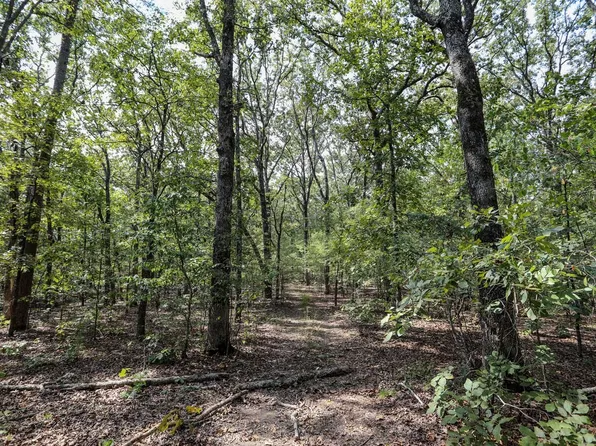 525 County Rd, Greenville, MO 63944