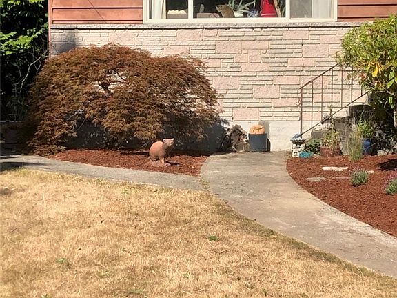 3rd image of 18561 Burke Ave N
