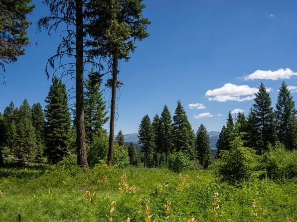 656 Aster Ct, McCall, ID 83638