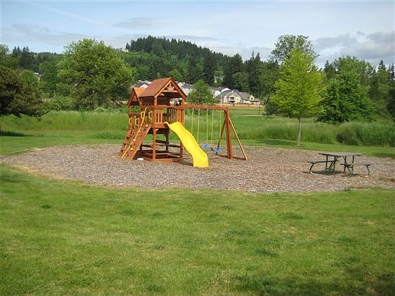 Play area and lawn