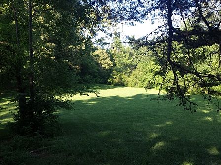 3rd image of 710 Peterson Ln