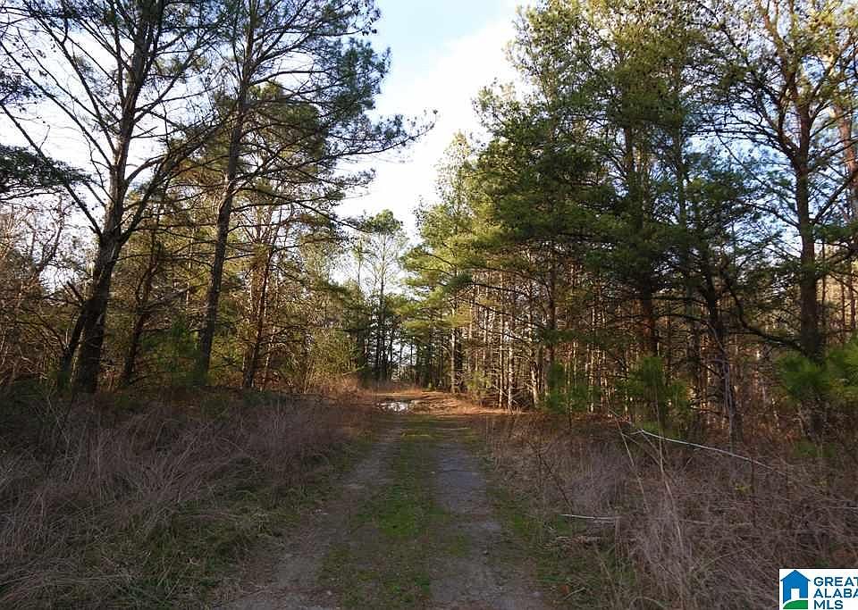 1st image of Highway 57 Acres #70