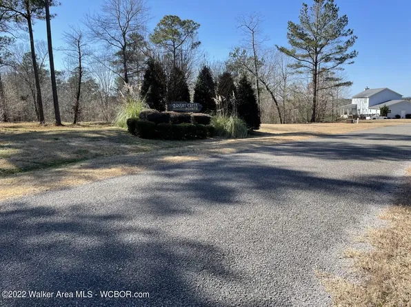 55 Brushy Ln, Arley, AL 35541