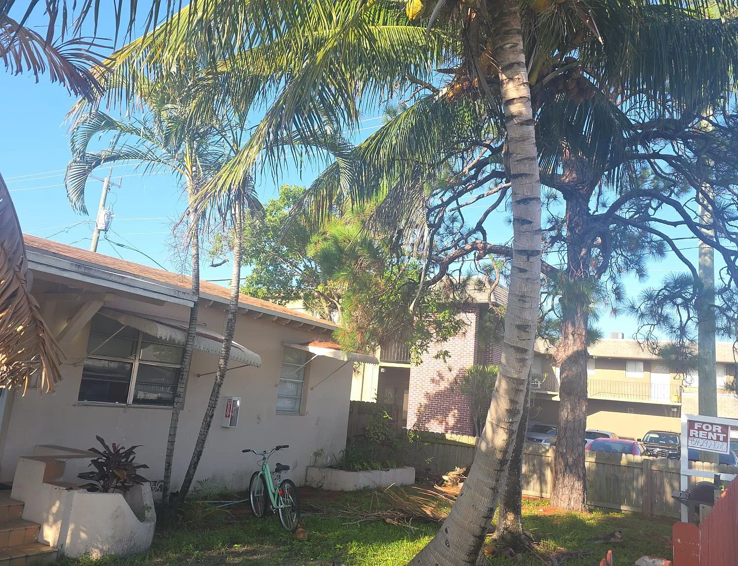 3 bed, 1.0 bath, 1000 sqft, $2,100 — Photo 2