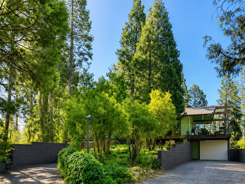 42545 Bald Mountain Rd