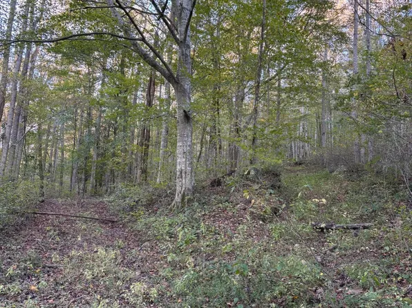 0 Calfkiller Hwy, Monterey, TN 38574
