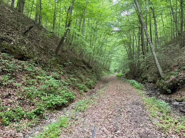 Highway 66 N, Rogersville, TN 37857