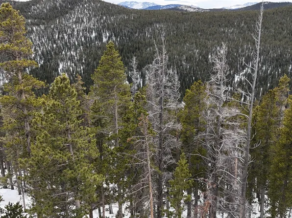 156 Vista Road, Idaho Springs, CO 80452