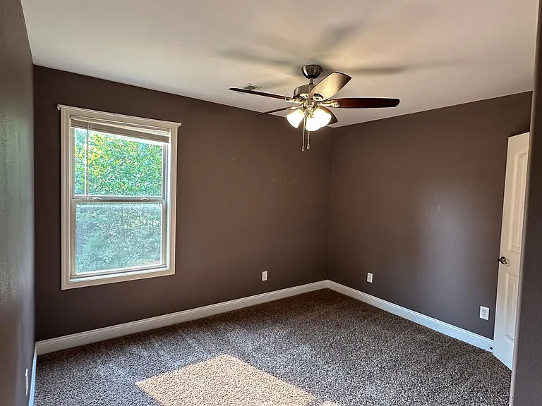 335 Lyle Curtis Cir — Photo 59