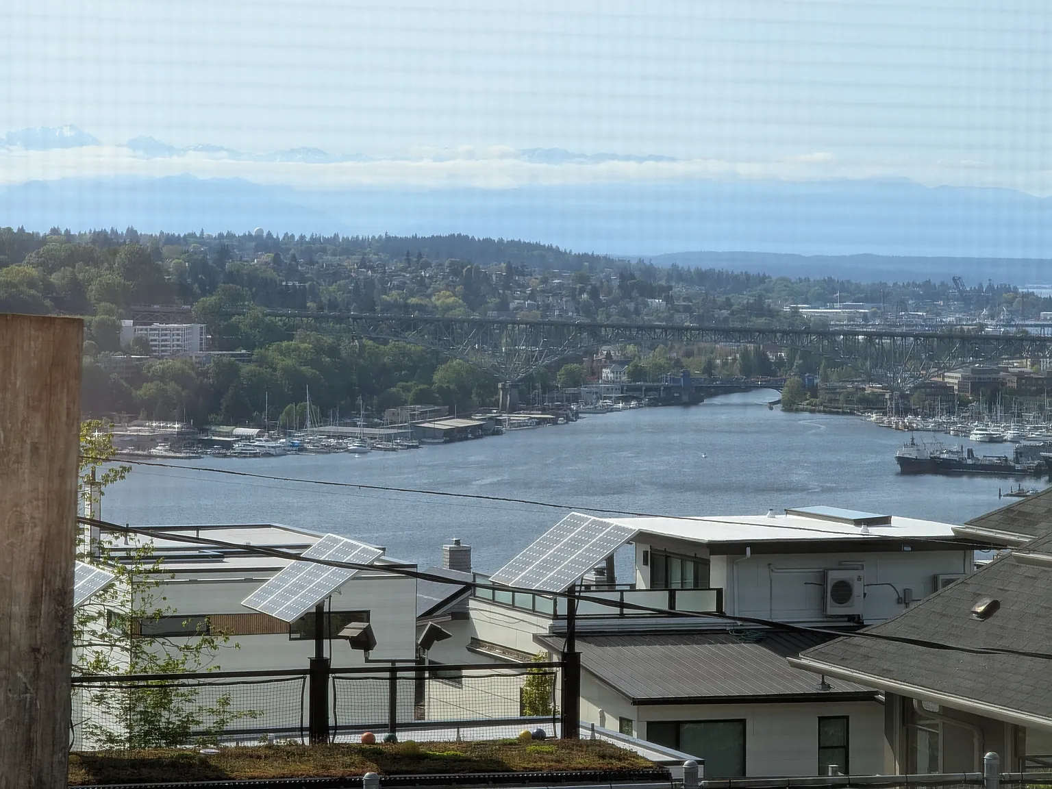 1 bed, 650 sqft, $1,785 — Photo 1