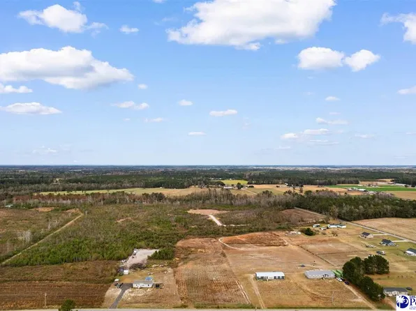 Tbd Joyner Swamp Rd, Galivants Ferry, SC 29544