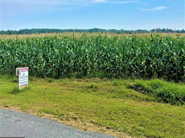 Hynson Rd, Hurlock, MD 21643