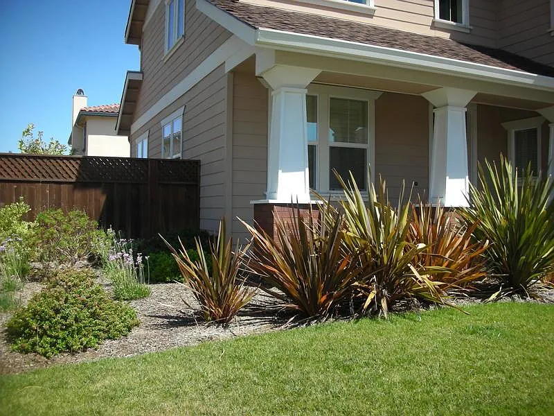 Riviera Ct, Livermore — Photo 3