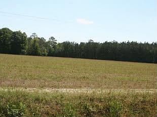 2nd image of 7198 Stilson Leefield Rd